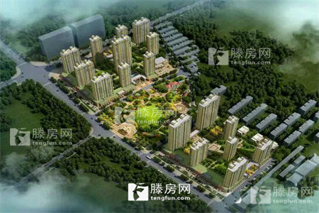 东源庄园3室2厅2卫、带车库、储藏室